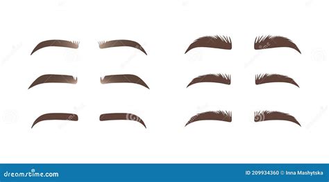 Set Of Eyebrows Shape Eyebrow Shapes Various Types Of Eyebrows