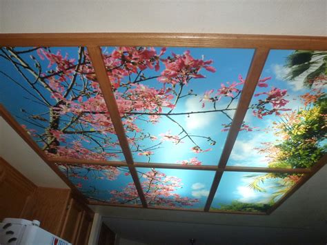 Sky Ceiling Murals Highest Quality By Fluorescent Gallery Ceiling