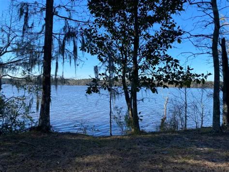 Best Hikes And Trails In Lake Talquin State Forest Alltrails