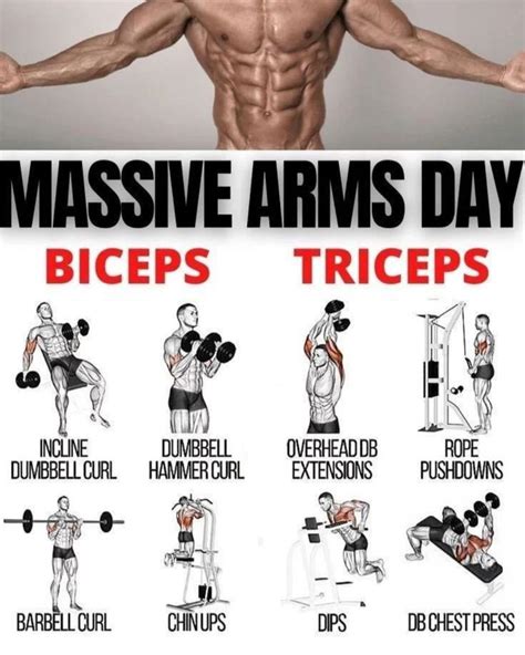 Arms Exercise At Gym Bicep And Tricep Workout Triceps Workout