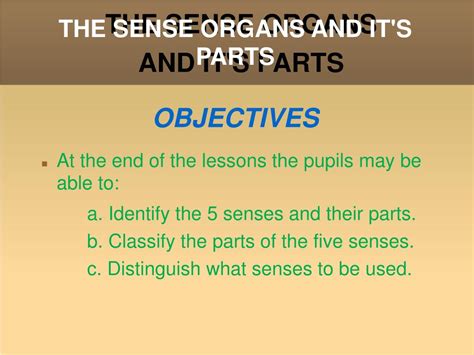 Ppt The Sense Organs And Its Parts Powerpoint Presentation Free