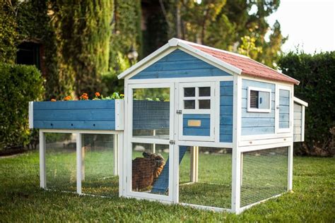 Did you scroll all this way to get facts about backyard chickens? 15 Best Chicken Coop Kits for Sale - Cool Backyard Chicken ...
