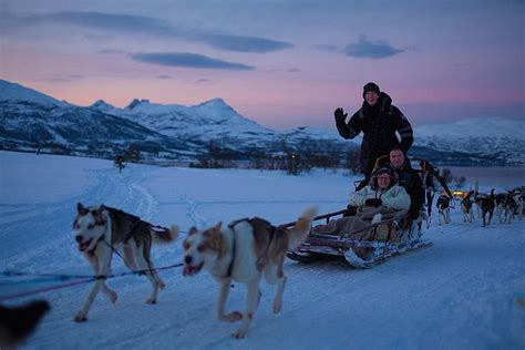2023 Evening Husky Sled Ride In Tromso