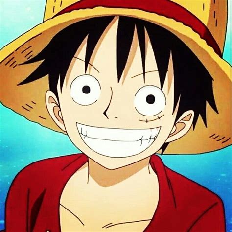 Luffy Smile With Him Anime Anime One Piece Bocetos De Parejas