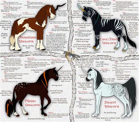 Unicorn Types By Flareandicicle On Deviantart Unicorn Life Unicorn