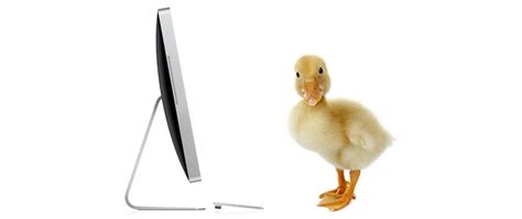 Baby Duck Syndrome Why Users Hate Change And What You Can Do About It