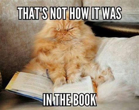73 Funny Reading Memes That Will Make All Book Lovers Laugh