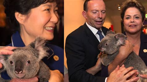 World Leaders Take Turns Holding Koalas At G20 Summit Youtube
