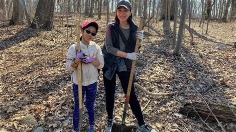 Beautifying Our Parks One Tree At A Time Newsday