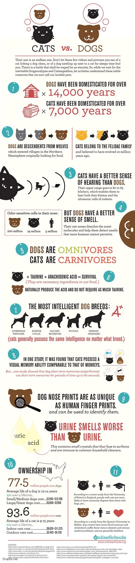 The domestic cats have the glowing eyes and furry body. The Top 5 Reason on why you should Chose a Dog Over Cat