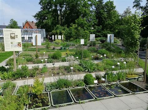 We did not find results for: Botanischer Garten Giessen, Гиссен: лучшие советы перед ...
