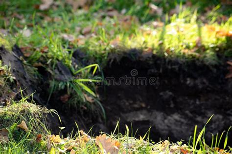 Dug Hole In The Ground With Green Grass Stock Photo Image Of Soil