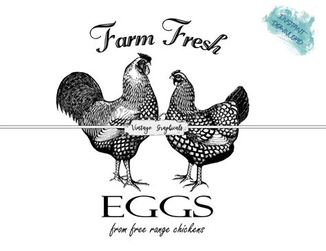 Fresh Eggs Printable Instant Graphic Digital Download Image Etsy