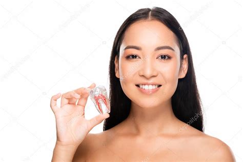 sonriendo desnudo asiático mujer holding diente modelo aislado en