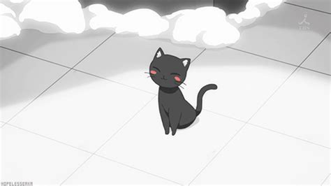 Anime Cat Cute Cat  Wiffle