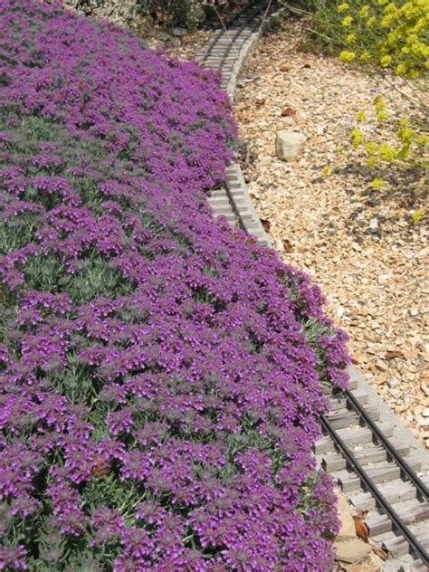 From our customer service to our line of collector conifers… we make gardening fun! Utah, Lakes and Places on Pinterest