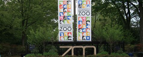 Guide To Visiting Smithsonians National Zoo In Dc Washington Dc