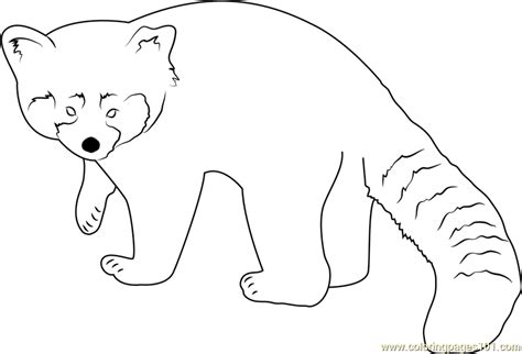 They help us to know which pages are the most and least popular and see how visitors move around the site. Red Panda Looking Toward Me Coloring Page - Free Red Panda ...