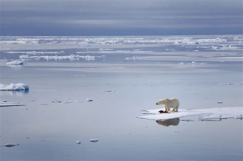 NASA alarmiert nach Beobachtungen in der Arktis
