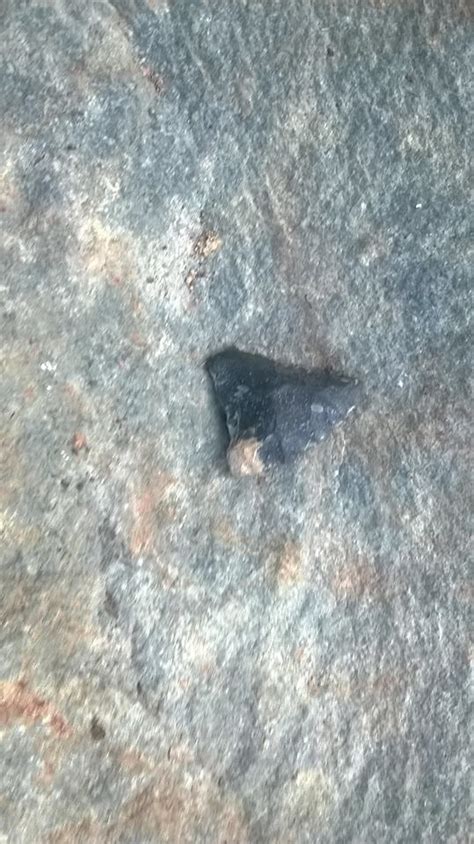 North Carolina Arrowheads And Artifacts Collectors Weekly