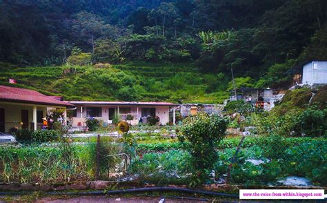 How to travel from kuala lumpur to cameron highlands? The Voice From Within: Cameron Highlands: A Cool & Green ...