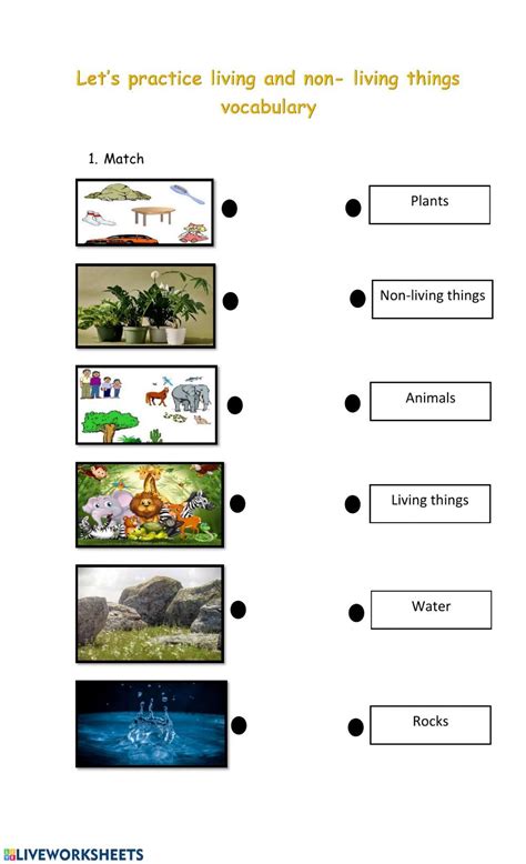 Lets Practice Living And Non Living Things Interactive Worksheet