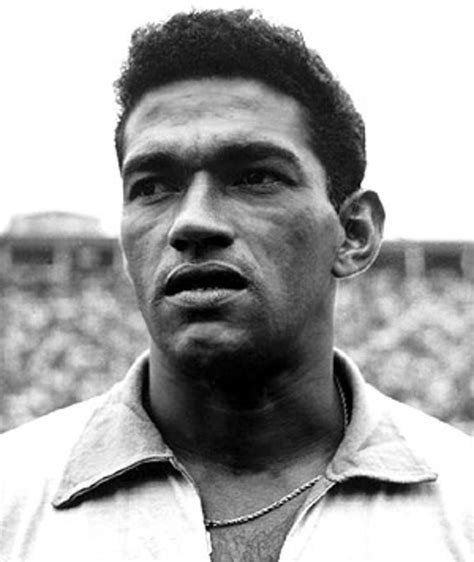 Garrincha Movies Bio And Lists On Mubi