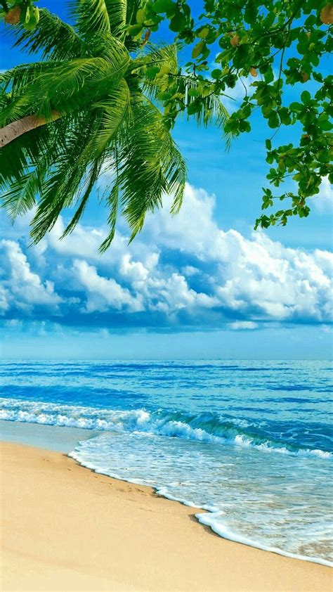 Lovely Summer Beach Scenes Images Hermosos Paisajes Paisaje Tropical