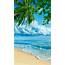 Lovely Summer Beach Scenes Images  Beautiful Landscapes