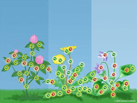 How does carbon dating work? Carbon Dating - CreationCenters.com