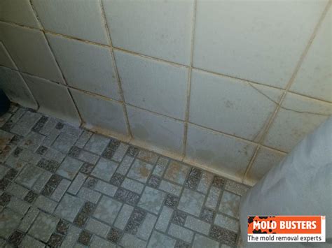 Orange Brown Spots On Bathroom Ceiling Shelly Lighting