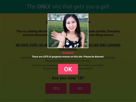 Credible Expert Review Of Date Nice Asian All Questions Answered