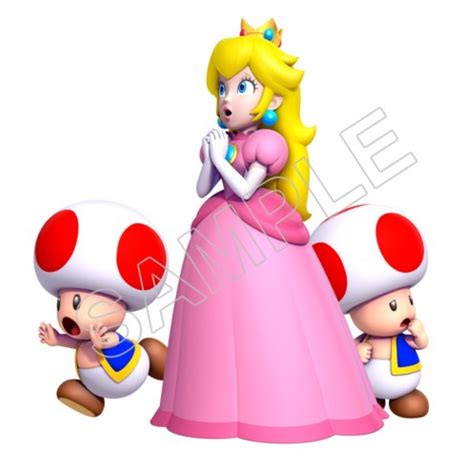Personalized Iron On Transfers Super Mario Bros Princess