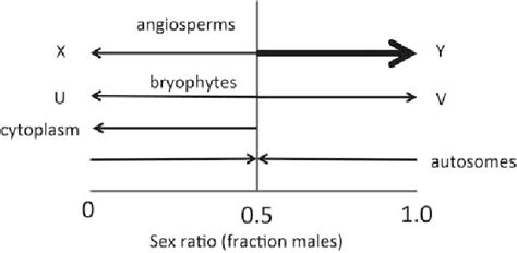 Figure 2 From Differences And Similarities Of Sex Ratios Between Dioecious Angiosperms And