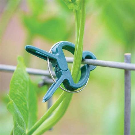 40pcs Plant Support Clips Tomato Tie Flower Vine Stem Bracket Pole Fix