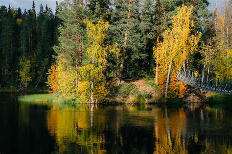 Autumn In Finland All Secrets Of Finnish Autumn Revealed Gofinland Blog
