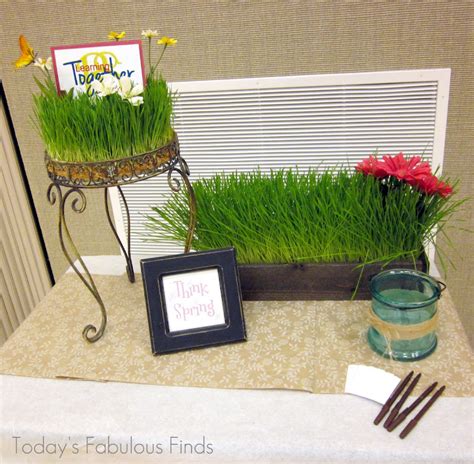 Todays Fabulous Finds Wheat Grass Centerpieces Grown On