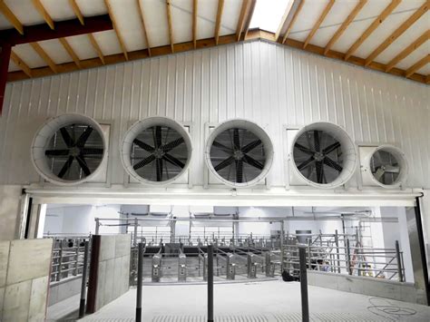 Collins Dairy Llc Barn Ventilation Concrete Upgrades