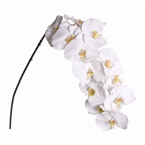 Faux Phalaenopsis Orchid Flower Stem White Shop Lifelike Flowers