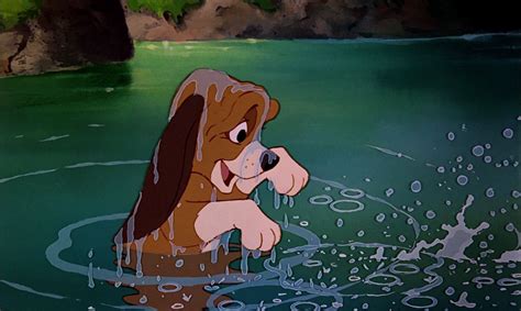 Copper ~ The Fox And The Hound 1981 The Fox And The Hound Disney