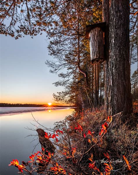 🇫🇮 Autumn Sunrise Finland By Asko Kuittinen 🍂 Spring Scenery