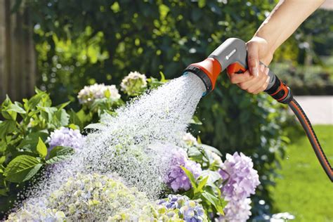 10 conseils arrosage pour vos plantes - Jardinerie du théâtre