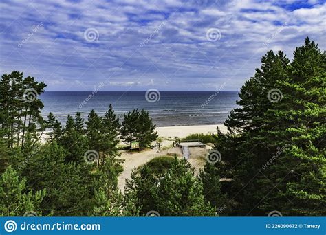 Ocean Sandy Beach And Coniferous Forest Landscape Stock Photo Image