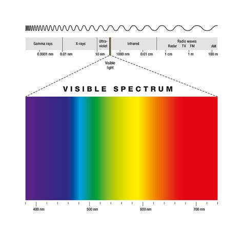 Electromagnetic Spectrum And Visible Light Digital Art By