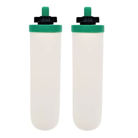 Aquahouse Gravity Water Filter Cartridges With Fluoride And Heavy Metal Filtration 2 Pack Bigamart