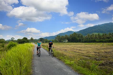 Length3.9 kmelevation gain229 mroute typeloop. Best Mountain Biking Trails | Southeast Asia