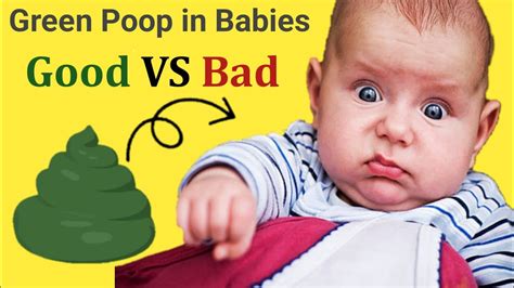 Green Potty Of Baby Infants Till 6 Months Plus Babies Kyu Hoti Hai