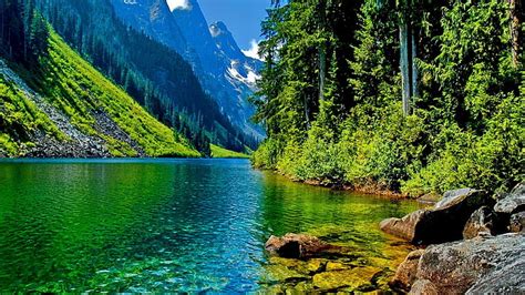 Hd Wallpaper Mountains Landscapes Nature Trees Forest Rivers Land
