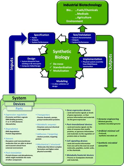 1 The Concept Of Synthetic Biology A Comprehensive Description