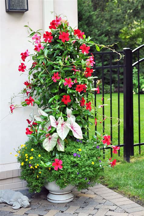 The most common spring summer flower material is metal. Pot I made this summer with my mom! First time I've seen ...